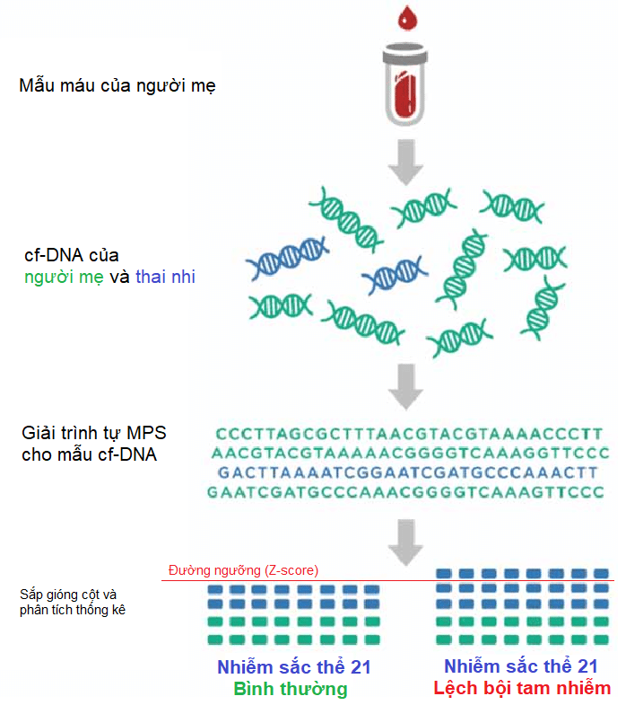 mps-based20nipt