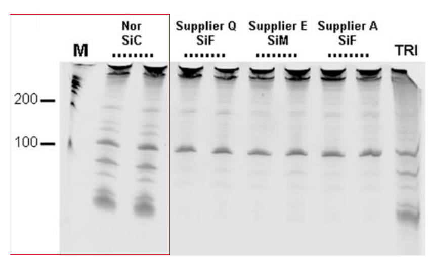 rna-extraction-with-sic-technology
