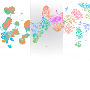 Chromium Single Cell