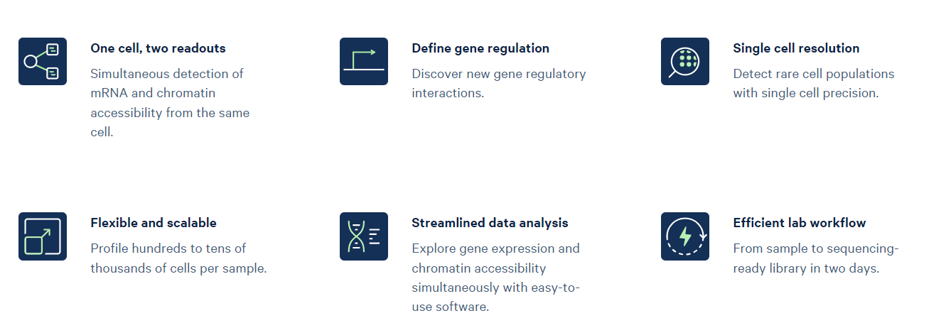 Single Cell Multiome