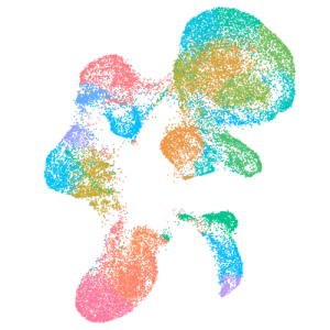 Single Cell Gene Expression