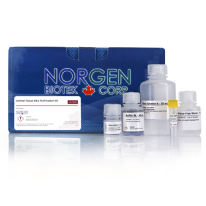 Animal Tissue RNA Purification Kit (Cat. 25700)