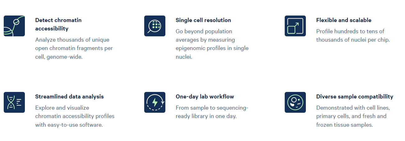 Chromium Single Cell ATAC