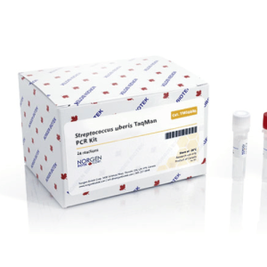 Kit phát hiện Streptococcus uberis trên bò sữa