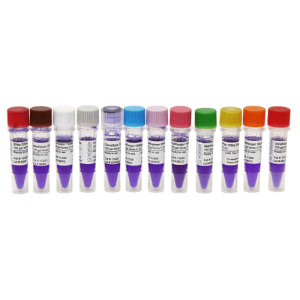 Thang DNA 100bp cho PCR