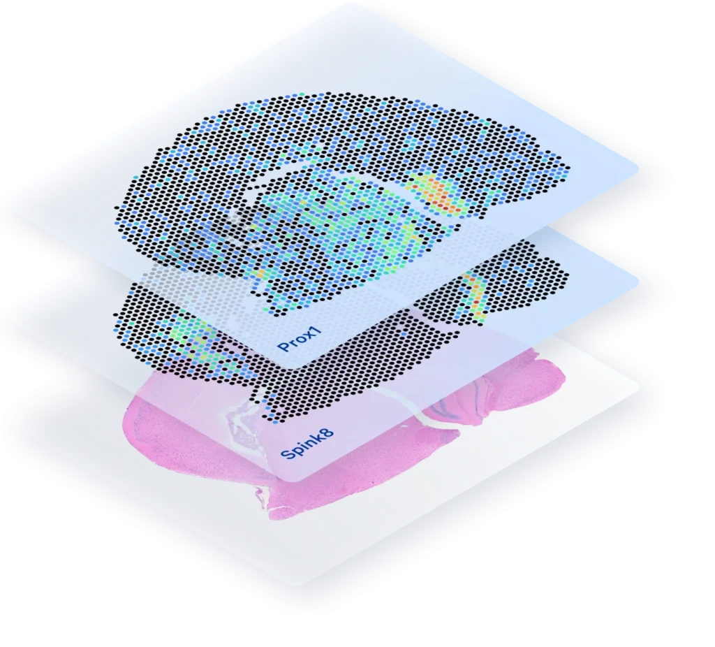 Visium Spatial-vi