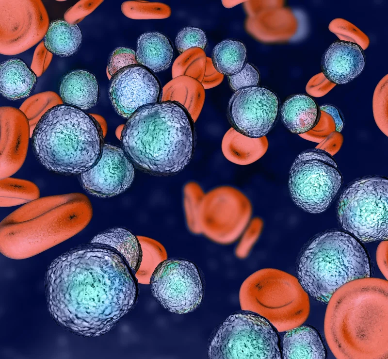 scRNA-seq suggests a new combination therapy recruits stem cell populations favorable for autologous stem cell transplants in cancer patients