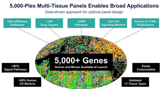 In situ detection and subcellular localization of 5,000 genes using Xenium Analyzer