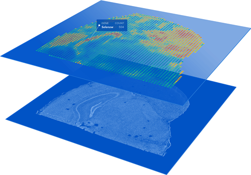 visium ffpe v2 visualization example